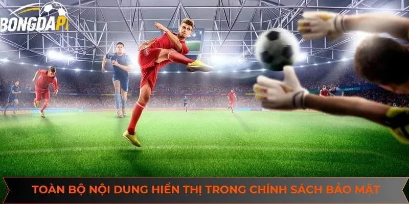 Tìm hiểu chi tiết toàn bộ nội dung hiển thị trong chính sách bảo mật