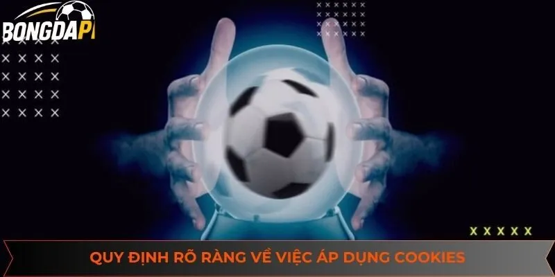 Quy định rõ ràng về việc áp dụng Cookies