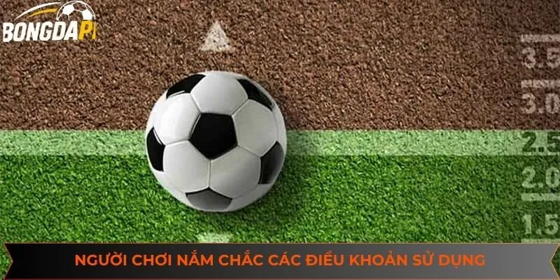 Người chơi nắm chắc các điều khoản sử dụng