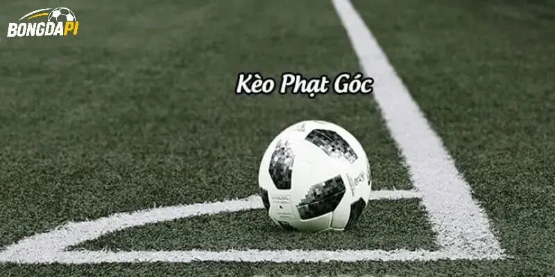 Kèo phạt góc là hình thức đầu tư “dễ xơi” nhất dành cho fan hâm bộ bóng đá