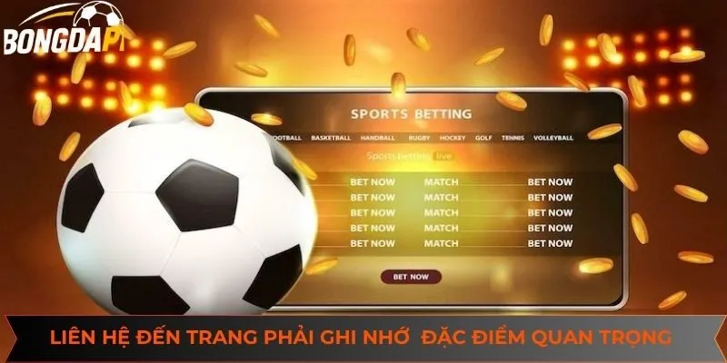 Liên hệ đến trang bóng đá phải ghi nhớ những đặc điểm quan trọng trên