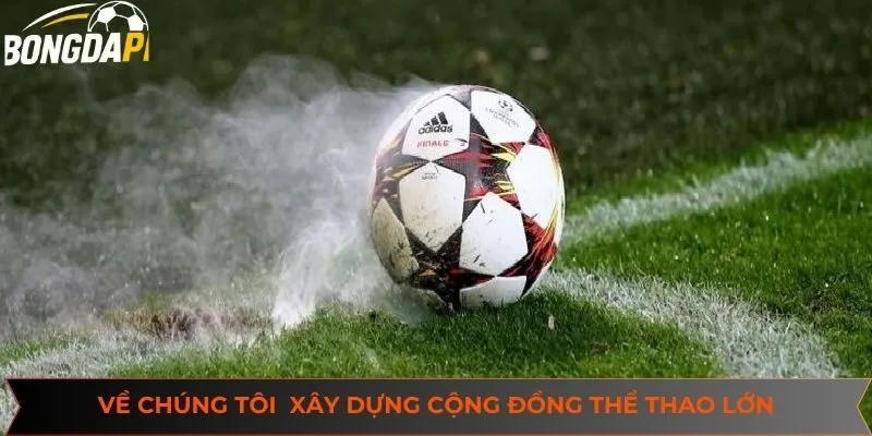 Bongdapi truyền tải đa dạng thông tin về chuyên mục thể thao